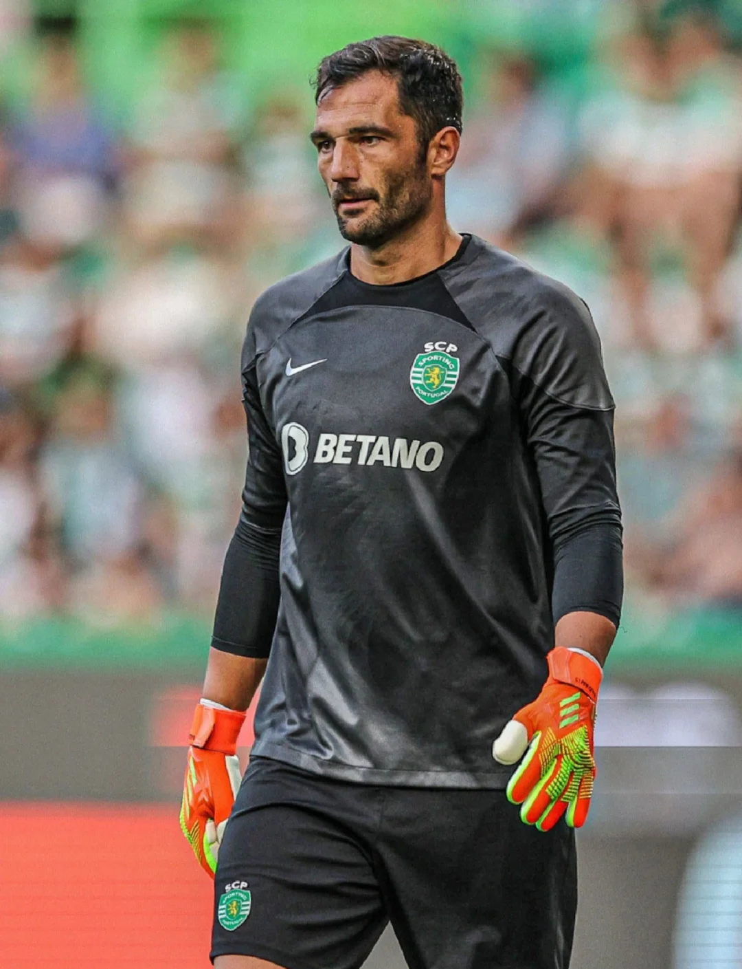 九游体育入口-关于集结日山东男篮备战葡超；调整名单细节曝光；信心回归；更衣室氛围转暖的信息